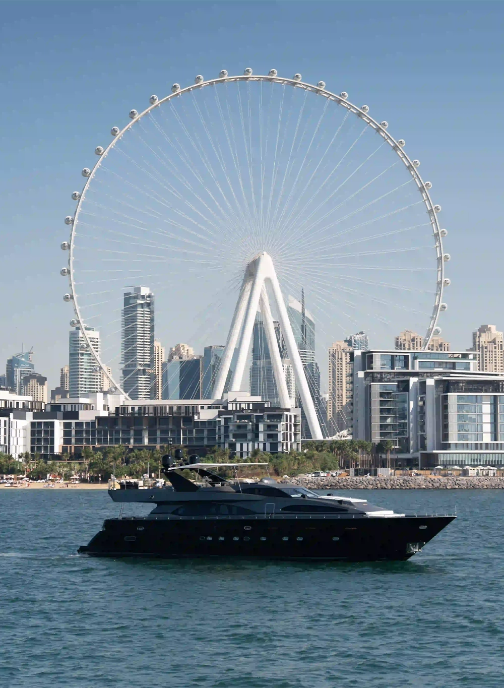 Shop Primary Image Shop Primary Image