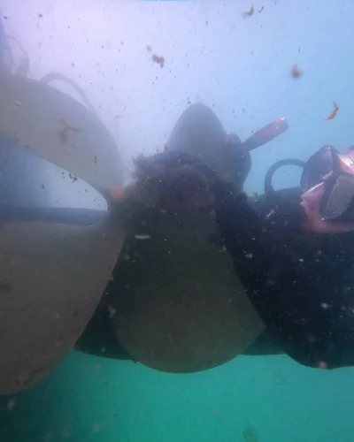 hull cleaning
